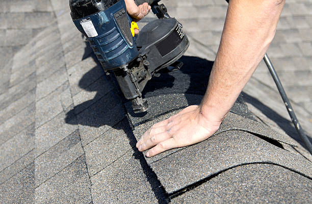 Roof Moss and Algae Removal